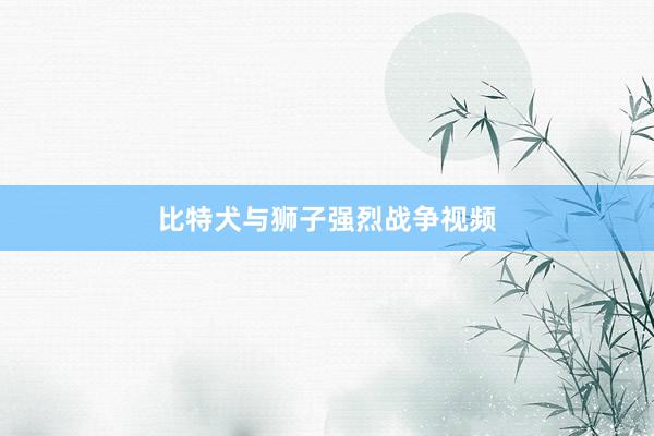 比特犬与狮子强烈战争视频